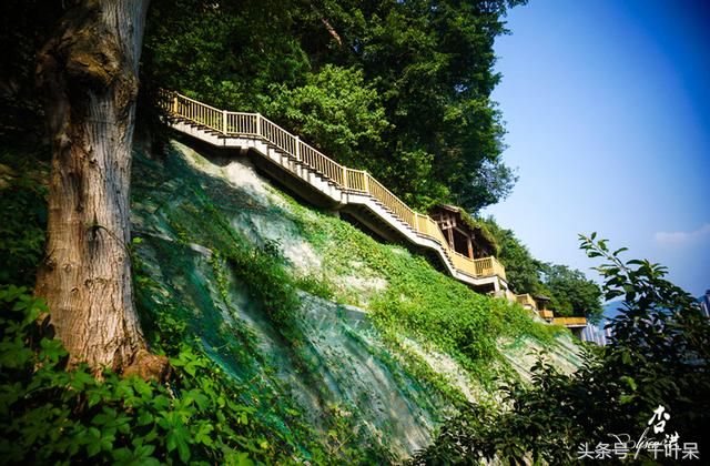 Elevated wooden walkway winding along a green cliffside in Chongqing